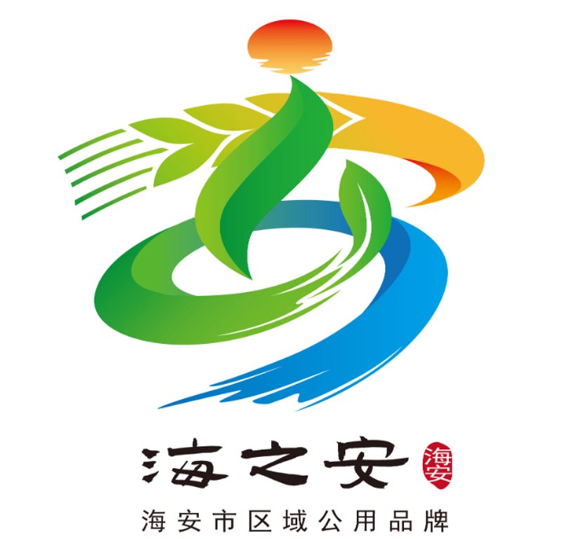 海安零距离：政务信息透明化的新平台